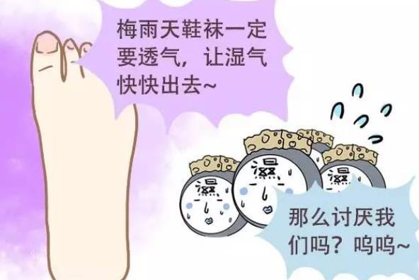 濕氣重怎么調(diào)理 濕氣重喝什么茶好