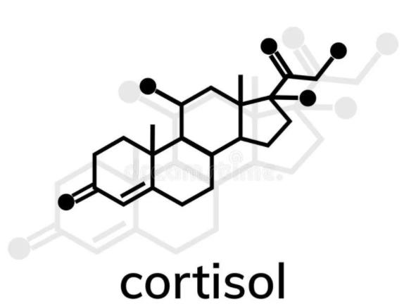皮質(zhì)醇低有什么危害 如何預防皮質(zhì)醇低