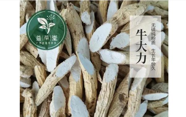 牛大力有什么功效與作用？哪些人群不宜食用牛大力？