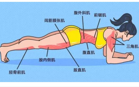 腰間盤突出能做平板支撐嗎？腰間盤突出適合哪些運(yùn)動？