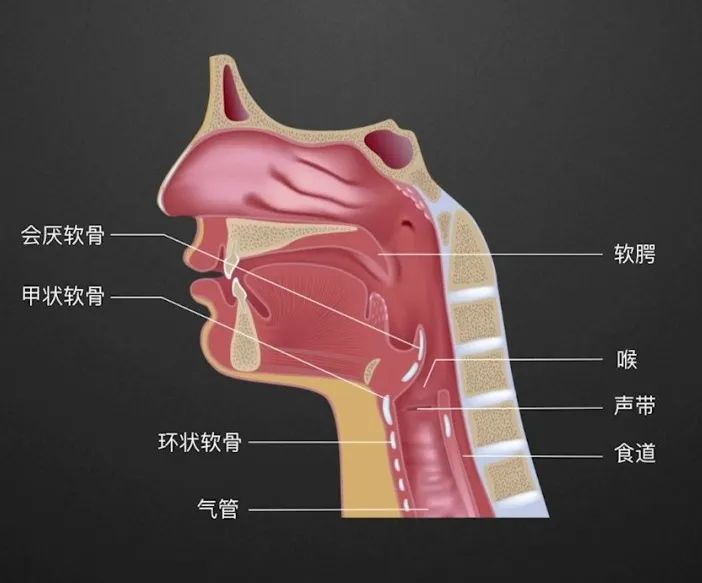 咽喉炎到底怎么回事？成都民生耳鼻喉醫(yī)院教你緩解嗓子疼！