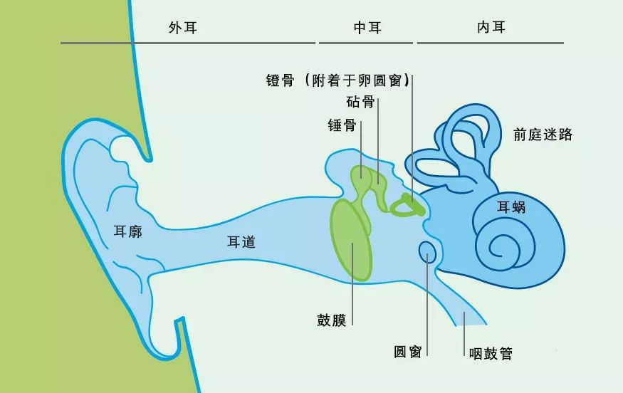 廣泛使用的藍(lán)牙耳機(jī)正在威脅你的耳朵健康嗎？