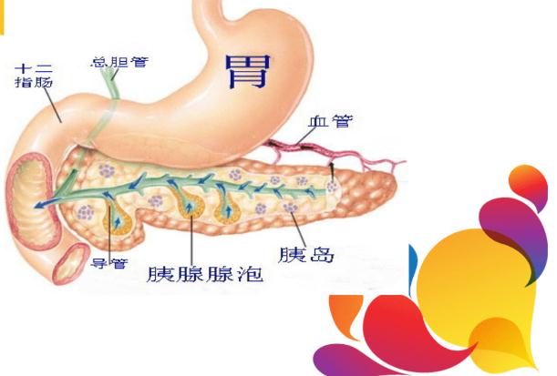 胰腺癌的癥狀有什么呢？胰腺癌造成的原因有什么呢？