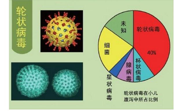 輪狀病毒發(fā)病有哪些特點？感染輪狀病毒后可以吃什么？