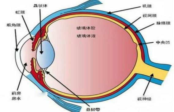 白內(nèi)障什么時候做手術(shù)合適 創(chuàng)傷性白內(nèi)障怎么治療