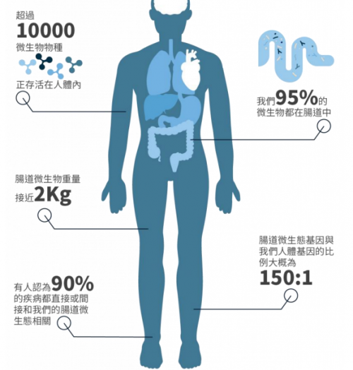 濕敏又有了新希望，PGut讓百億“益生菌”為你打工！