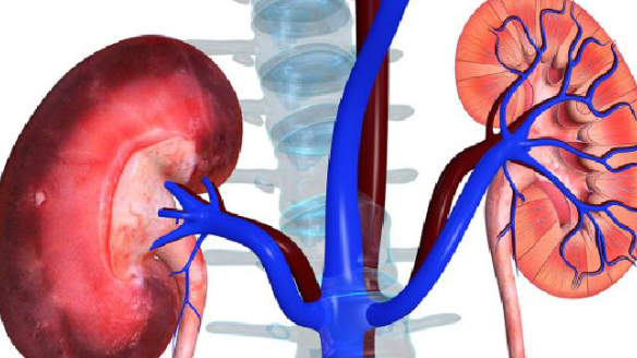 狼瘡性腎炎會(huì)死嗎 狼瘡性腎炎會(huì)傳染嗎